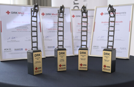 2024-08-15-DRK-Medienpreis-004-scaled-445x290 10 Jahre Interdisziplinäre Frühförderung für Kindern